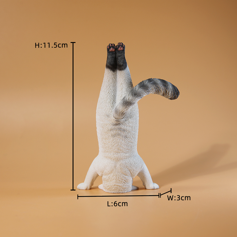 1/6 Scale Mini Simulated Fitne - огляд і ціна Yoga Fitness Tva
