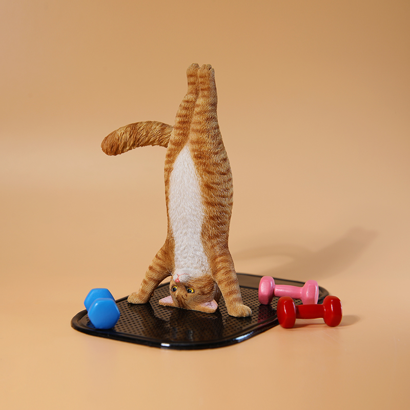 1/6 Scale Mini Simulated Fitne - огляд і ціна Yoga Fitness Tva