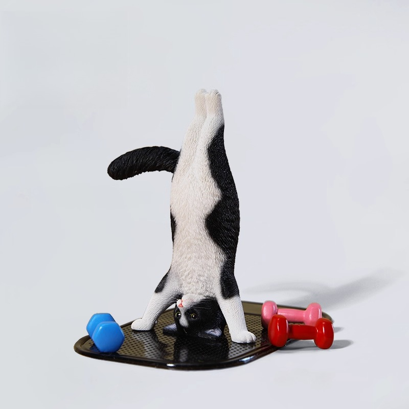 1/6 Scale Mini Simulated Fitne - огляд і ціна Yoga Fitness Tva